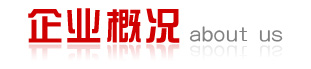 福州印秀網(wǎng)絡(luò)LOGO立體圖片